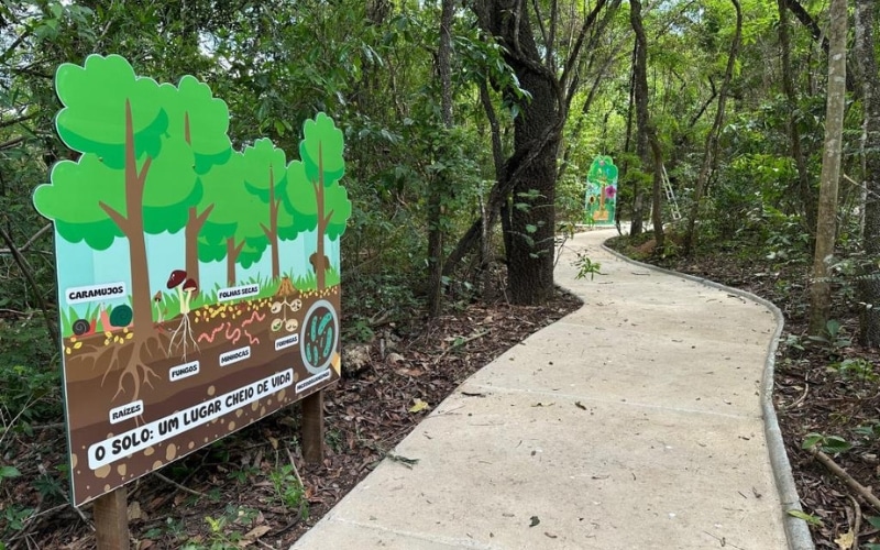 jardim-botanico-inaugura-espaco-infantil